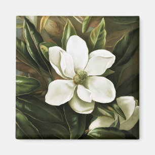 Alicia H. Laird: Magnolie Grandflora Magnet
