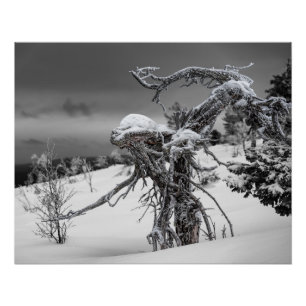 Alien aus Holz im Winter Poster