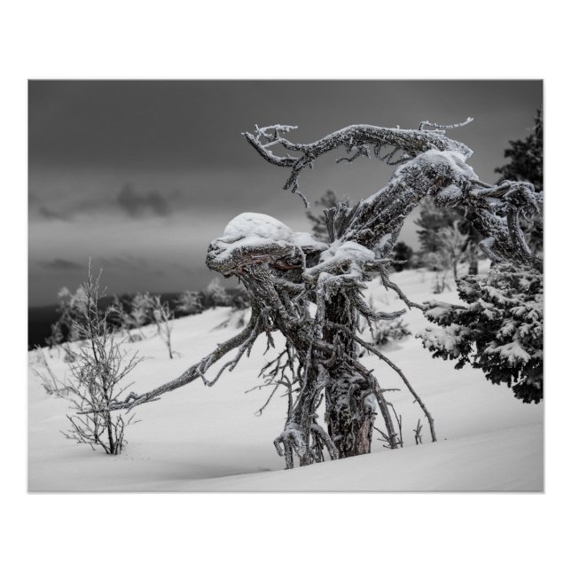 Alien aus Holz im Winter Poster (Vorderseite)
