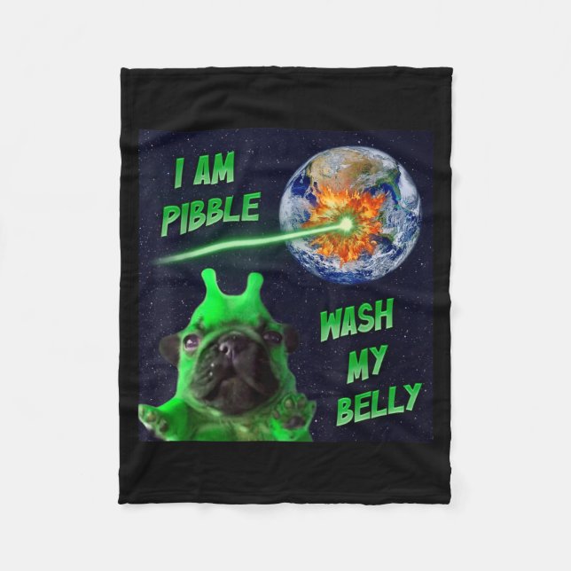 Alien Bble Lustiger Brainrot Hund Meme Raum Ich Bi Fleecedecke (Vorderseite)