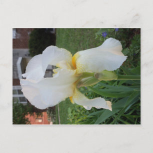 Alien Blume Postkarte