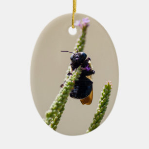 Alien Circus Bee Keramik Ornament