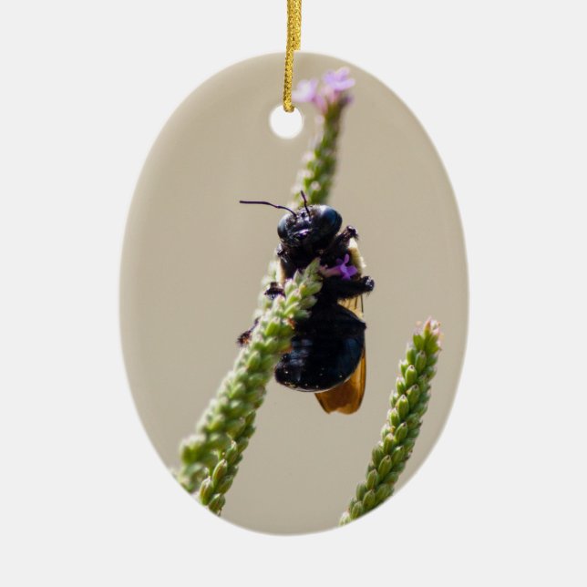 Alien Circus Bee Keramik Ornament (Vorne)