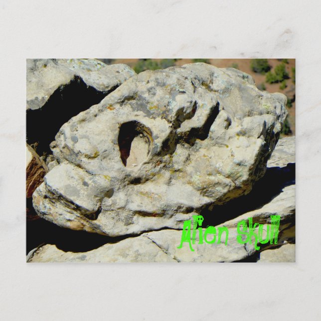 Alien Skull in Nation Postkarte (Vorderseite)