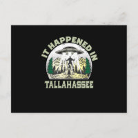 Alien UFO in Tallahassee