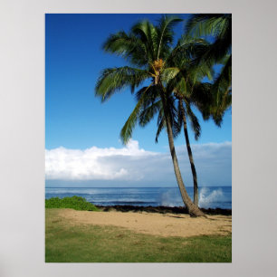Ali'i Beach 19 Poster