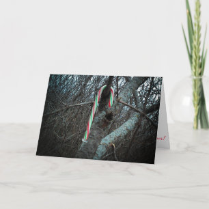 "Alimagnet Candy Cane" Weihnachtskarte Karte
