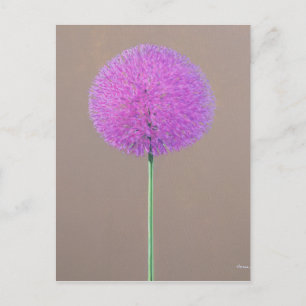 Alium Postkarte