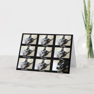 Alkoholiker Anonymer "Behalt zurück.." Karte