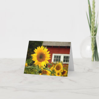 All-Chance/Sunflower Karte