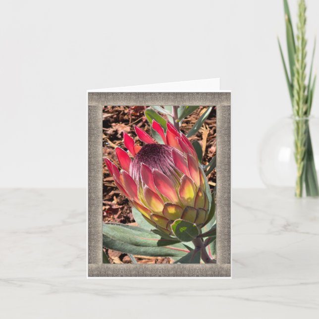 All-Occasion Note Card mit schönem Protea (Vorderseite)