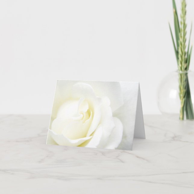 All Occasion White Rose Karte (Vorderseite)