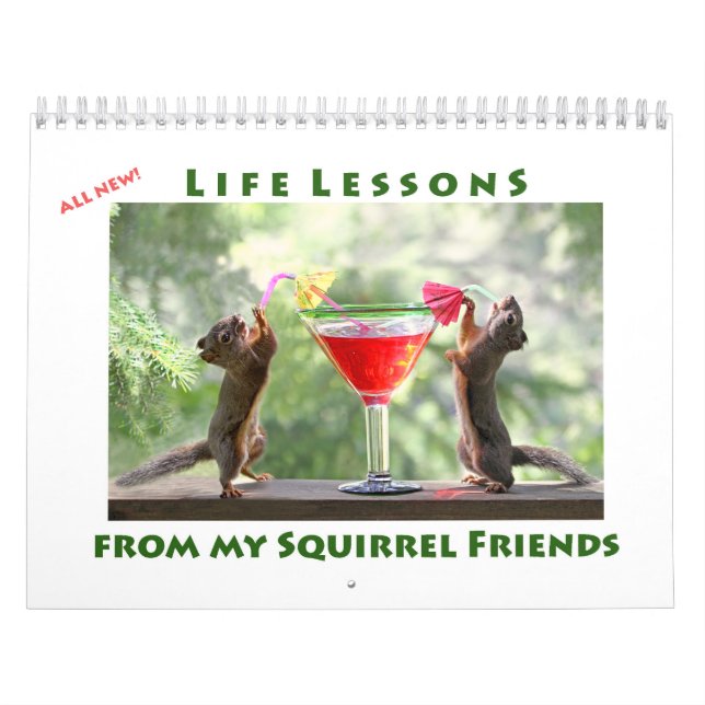 All Star Squirrel Calendar - New Life Lessons Kalender (Titelbild)