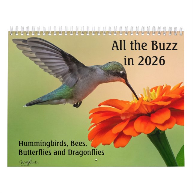 All the Buzz 2026 Calendar Kalender (Titelbild)