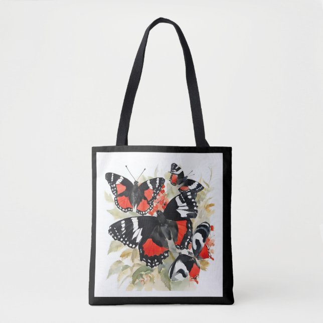 All Things Butterflies Callicore kolyma Black Whit (Vorderseite)