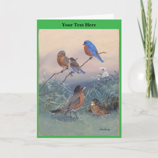 Allan Brooks Birds no1 Dankeskarte (Vorderseite)
