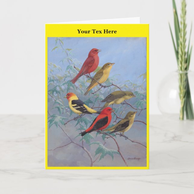 Allan Brooks Birds no3 Dankeskarte (Vorderseite)