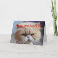 Allan-Bruder-Geburtstags-persische Katzen-Spaß