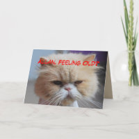 Allan-Bruder-Geburtstags-persische Katzen-Spaß
