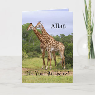 Allan "Go Wild" Glückwunsch zum Geburtstag Giraffe Karte