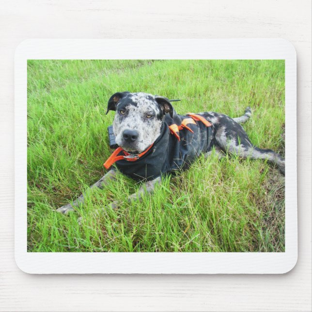 alldogscatch mousepad (Vorne)