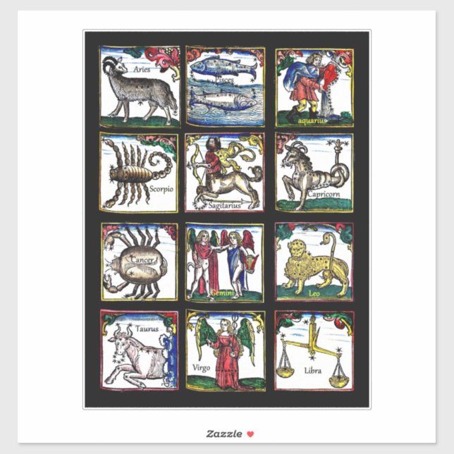 alle 12 Zodiac-Zeichen Geburtstagssymbole Aufkleber (Blatt)
