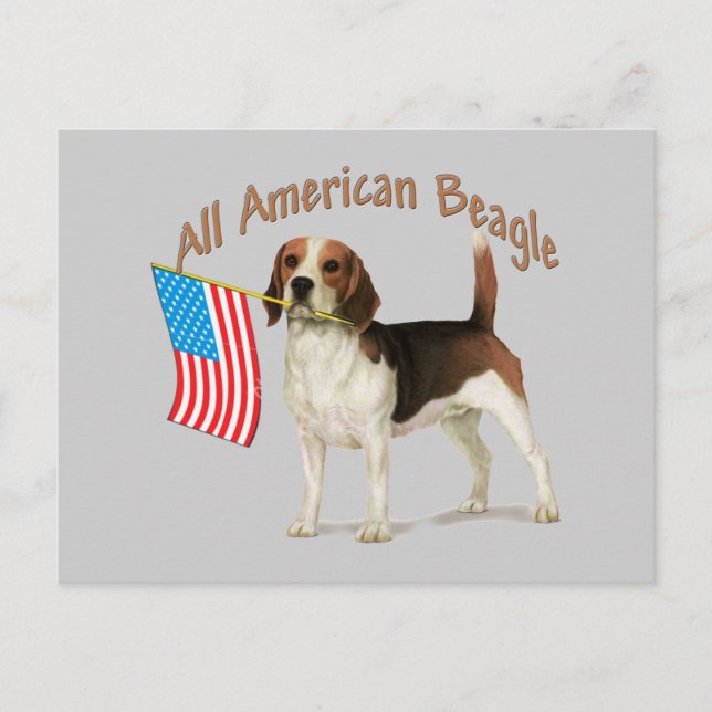 Alle amerikanischen Beagle Geschenke Postkarte (Vorderseite)