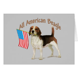 Alle amerikanischen Beaglegeschenke