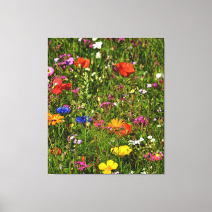 alle Arten von schönen Blume Leinwanddruck