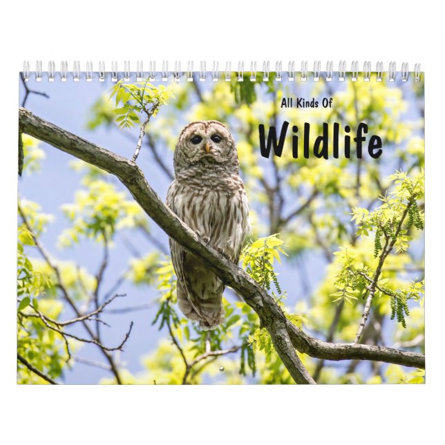 Alle Arten von Wildtieren Kalender (Titelbild)