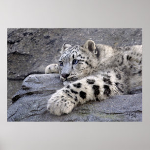 Alle ausgesendeten Texte Poster