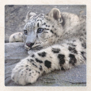 Alle ausgespielten Untersetzer