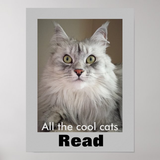 Alle Coolen Katzen lesen (Literacy Poster) Poster (Vorne)
