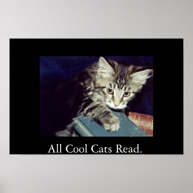 Alle Coolen Katzen lesen. Poster (Vorne)
