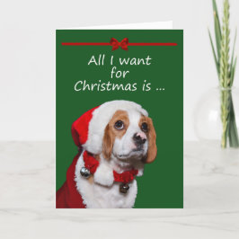 Alle, die ich für Weihnachtsgruß-Karte will Feiertagskarte