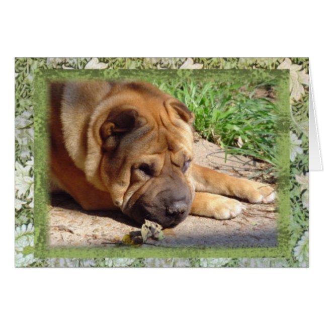 Alle, die ich habe, sind Erinnerungen (Vorderseite (Horizontal))