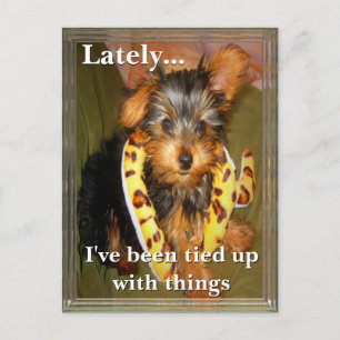 Alle eingetippten individuell anpassbaren Postkart Postkarte