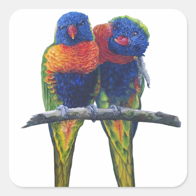Alle Farben der Rainbow Lorikeets Quadratischer Aufkleber (Vorderseite)