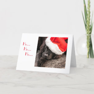 Alle gekleidet für Weihnachten