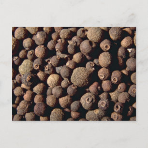 Alle Gewürze Postkarte