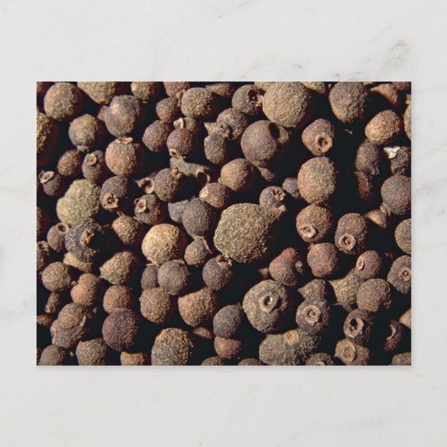 Alle Gewürze Postkarte (Vorderseite)