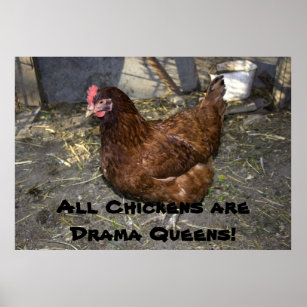 Alle Hühner sind Drama Queens! Poster