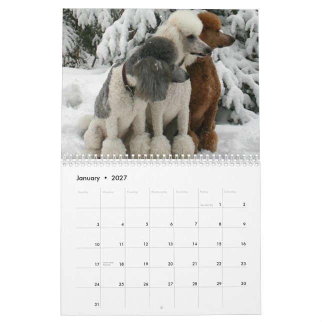 Alle Hunde sind vom Himmels-Kalender Kalender (Jan 2027)