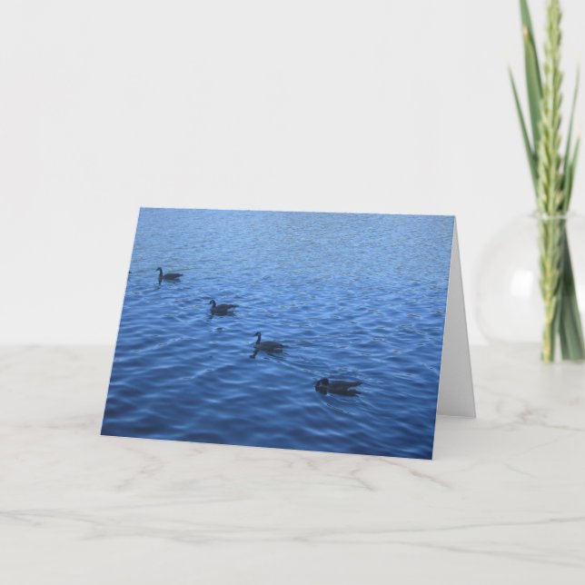 Alle Ihre Enten in Folge Karte (Vorderseite)