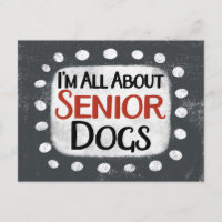 Alle Informationen über Seniorenhunde Postkarte