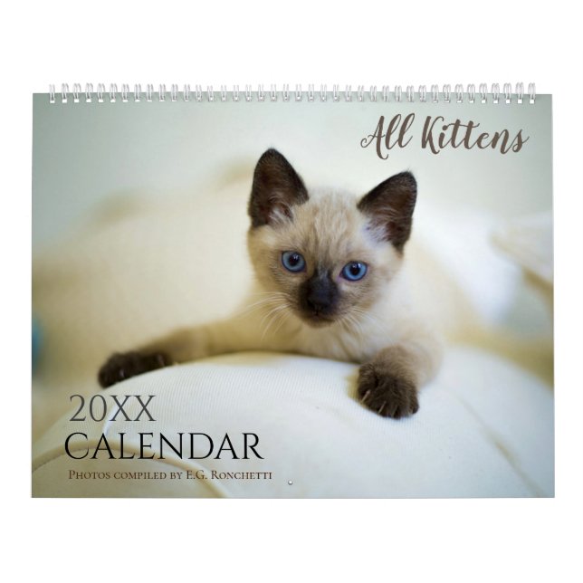 Alle Kätzchen Niedlich 2025 Wall Calendar Geschenk Kalender (Titelbild)