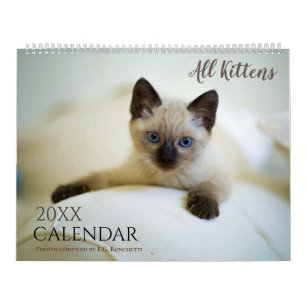 Alle Kätzchen Niedlich 2025 Wall Calendar Geschenk Kalender