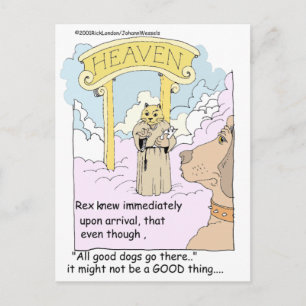 Alle Katzen gehen in den Himmel? Funny Gifts & T-S Postkarte