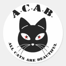 Alle Katzen sind schön