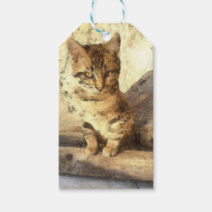 Alle Katzen sind schwarz in der dunklen Bleistiftz Geschenkanhänger